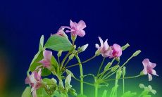 怎样用言辞安慰正在遭受职场疲惫之苦的朋友？