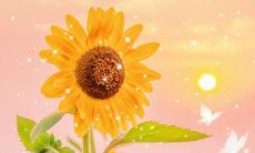 充满智慧和启示的年度总结经典语录，带你领略人生真谛与灵感创新！