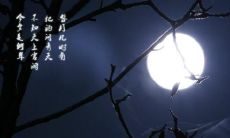 30个描写中秋节的优美句子,感受中秋节的浪漫和美好!