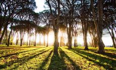 用幽默调味的语句表达情绪：包含苦涩笑声的心情衷言