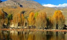 善意的话语能够带来积极的影响:一些鼓舞人心的正能量语句,可以激励你克服困难并思考积极的解决方案