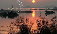 怀念胜于相见:让人心痛的话语