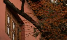 失落、失望与心碎——一个对爱情的沉痛体验所带来的痛苦表达句子集合