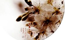 二月来临，让我们携手迎接优美句子的盛宴