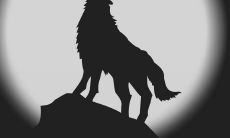 详解战狼队数十款震撼口号，教您如何用简短的语言表达强烈的爱国情怀与战斗信念！