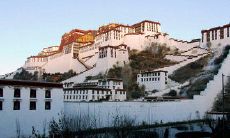 如何在社交媒体平台上分享你的旅游经历，并获得最佳效果？