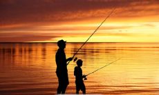 感人至深的亲情陪伴句子,说出内心真挚感受