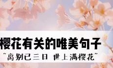 在春日翩跹舞动的婀娜樱花中，绽放出的唯美浪漫情感：一场绚烂缤纷的自然之恋