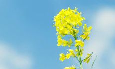 感恩美术老师:我的艺术启蒙、创造力探索和人生漫长旅程中永恒的指引和伴侣!