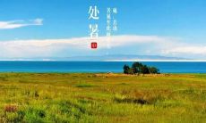 送与处暑有关的问候内容的短信,以表达关怀之心