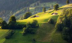 餐饮业例会议上呼喊的口号: 振兴餐饮业,创新发展,绿色健康,服务至上!