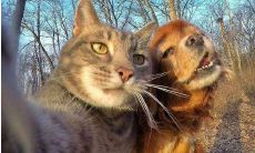 感性自我表达：分享自拍图的心得与感悟