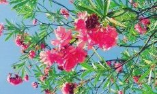 揭秘传销的四句口号,揭露其危害,助您避免踏入这一黑暗泥沼