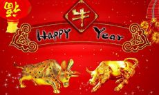 2021年与牛年春节佳节贺词，精简明快而别具祝福之情