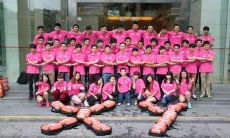 一些令人赞叹的关于团队卓越表现的句子