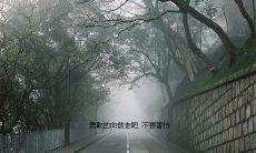 探索勇敢的灵魂:激励你挑战困难、迎接挑战和超越极限的励志句子集合