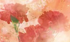 如何制作一张简短20字左右的母亲节贺卡呢?