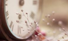 探索惊艳句子的文艺之旅:在知乎中寻觅创意灵感