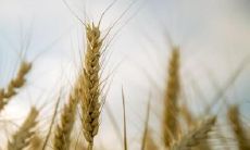 以一句精辟的干净短句作为人生格言：如何在日常生活中寻找自我启示并实现个人成长？