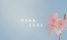 三月悄然离去,四月迎来喵与汪的互爱人间,回眸时,猫的雅致,狗的豁达,在文艺唯美的意境中洋溢着迎接新生活的喜悦