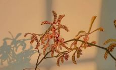 如何通过传递温柔能量来促进自我成长和改善人际关系？