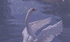 看一眼就能让你沉醉其中、爱不释手的惊艳唯美句子