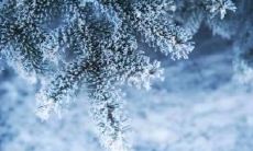 震撼心灵的张爱玲语句:让痛骨咔嚓、心碎为两截的句子