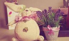 一系列清爽脱俗的心情说说短语，让你心旷神怡！