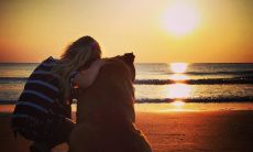 告别不告急，好好珍惜的说说