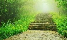 大学口号和队名:展现力量与荣耀的气势!