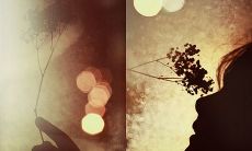 潸然泪下，张小娴带来的伤感句子令人心痛不已