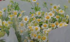 感谢快乐的每一天，让我们一起分享感恩之情，适合在朋友圈表达的感谢话语！