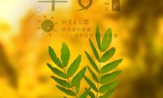 一篇充满活力与可爱的早安句子，可助你愉快迎接新的一天！