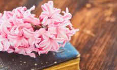 享受亲情温暖氛围的最佳方式——收集一份优美温馨的亲情句子大合集!