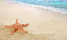 表达亲情欢聚之情的祝福句子，分享家庭温馨，传承爱的力量