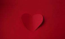 如何度过情人节？单身狗攻略大公开！