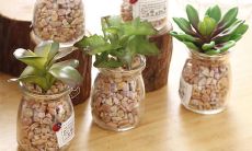 深刻剖析诗经亲情语言的文化背景及其寓意的长篇标题：探究《诗经》中含蓄深沉的亲情主题所蕴含的文化内涵与情感价值