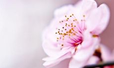 一系列细腻动人的关于守护友情的句子,让你感受到真诚、忠诚与不离不弃的情感力量!