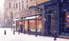 用唯美语言表达深刻情感的关于亲情的句子