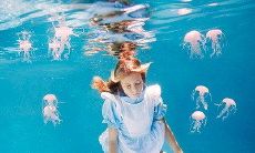 十年交情耗尽的毒刺之语：一段友谊的破碎史