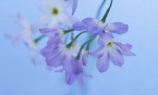 传递温暖与关爱——发出令人感动的短信问候