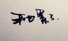 感人至深的令人崩溃的可爱语句