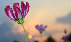 面对挫折时常用的励志名言或个人座右铭,探究其背后的哲理与意义