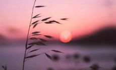 带有青春活力和少年气息的文案推荐