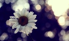 十个闺蜜语录，简短却充满温馨感