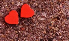 富有表现力的家庭失望句子：探讨人们对家庭失望的内在情感、深刻反思与现实应对方案