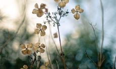 让微博简介展现你文艺范儿:一个句子的文艺微博简介