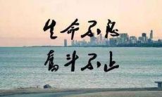 努力写下短句,为自己的奋斗继续努力拼搏的过程加油鼓励!