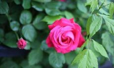 人生中充满经典的启示——分享一些深刻的人生感悟和短句子