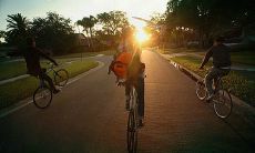 分享兄弟亲情的感言:用文字表达我内心的情感和体味